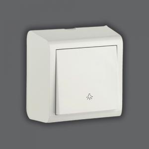 Light Anahtarı Sıva Üstü 